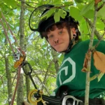 Professionel arborist sidder i et træ fra Træplejemand